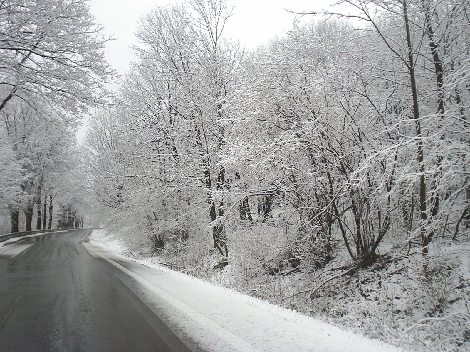 S3010422.JPG