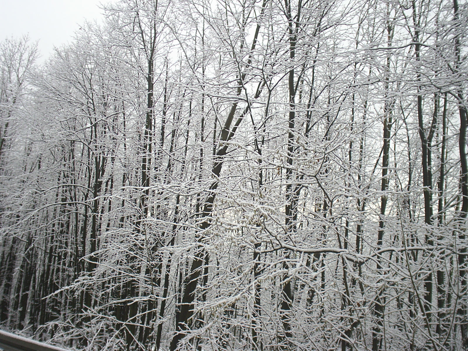 S3010423.JPG