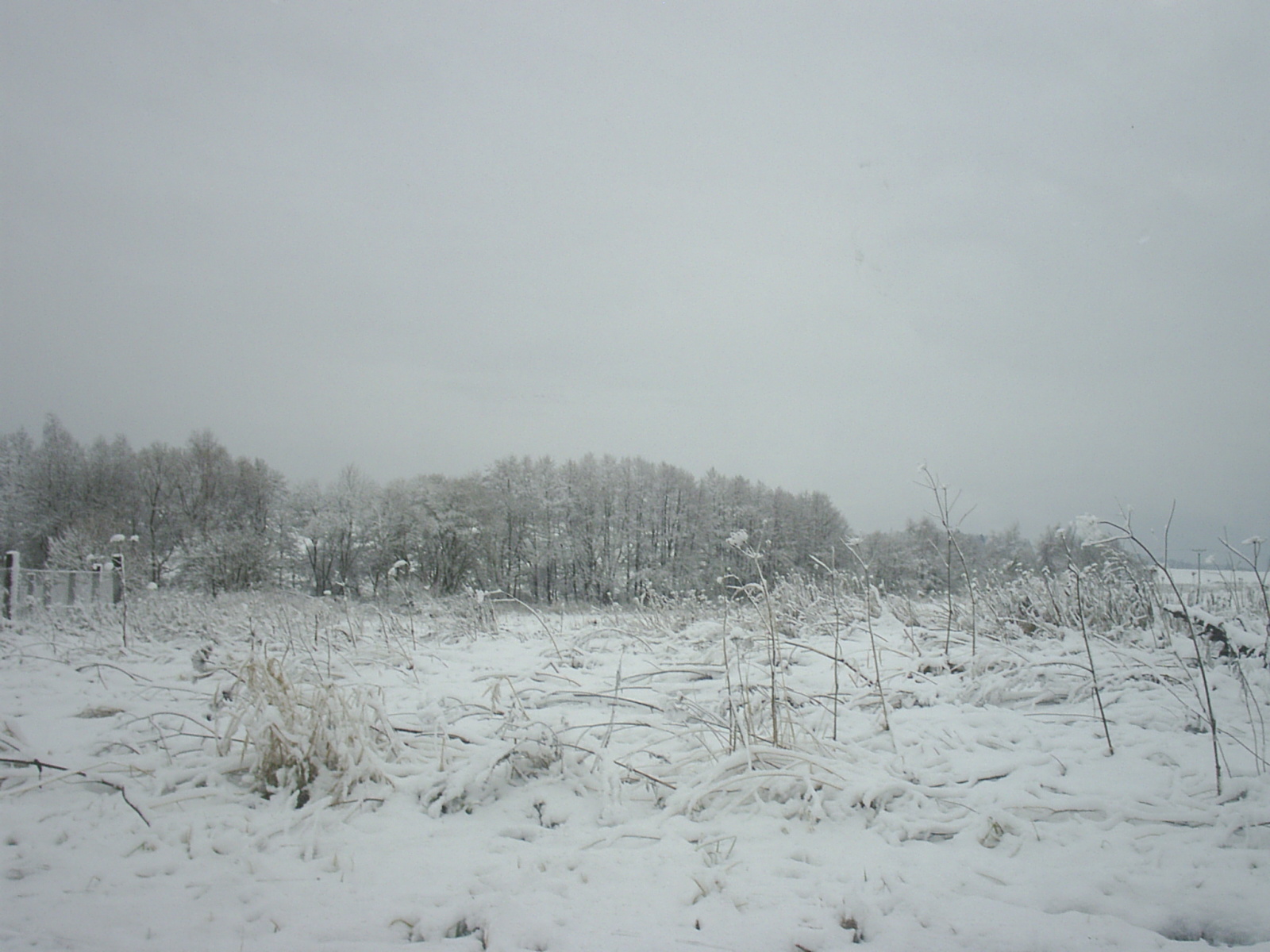 S3010433.JPG