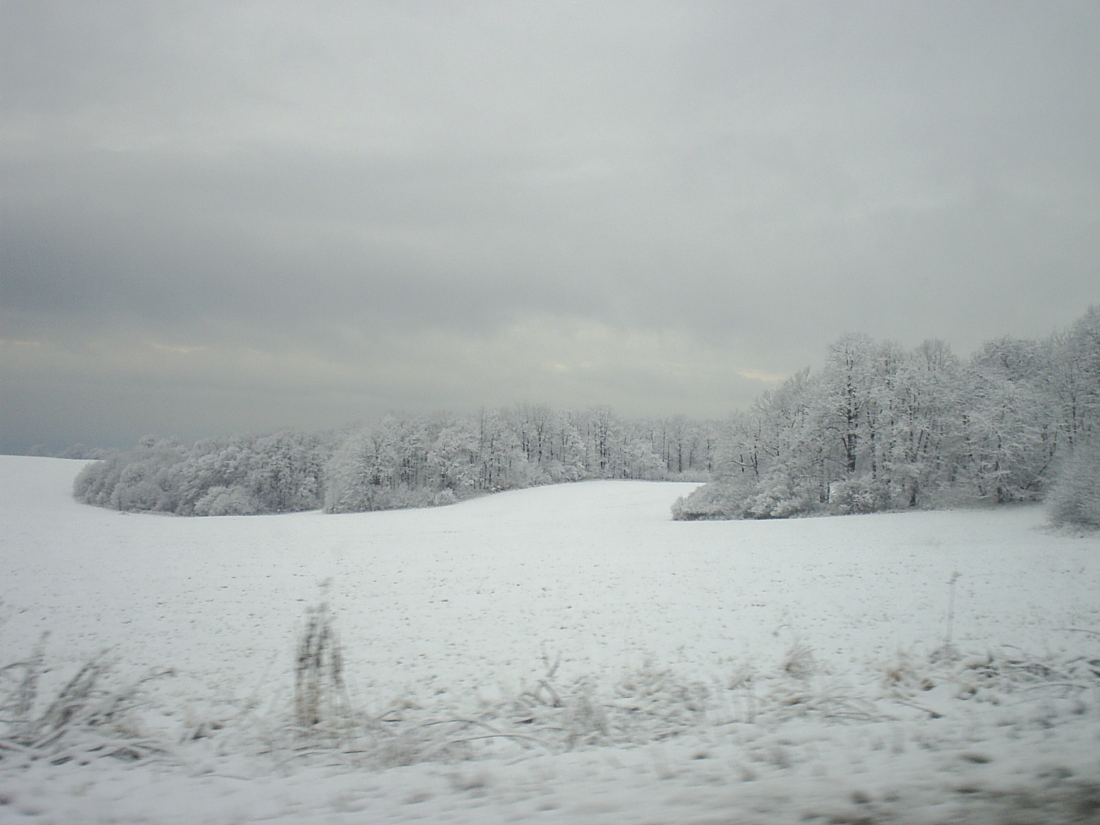 S3010432.JPG